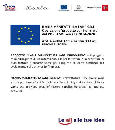 Ilaria Innovation project
